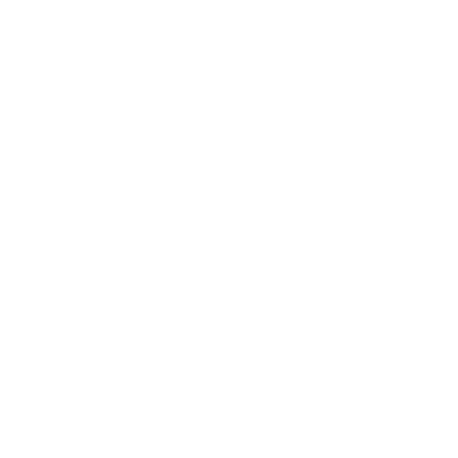 Bicycle Accidents