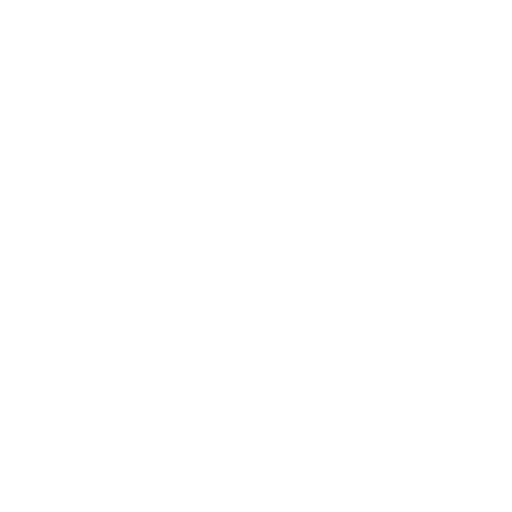 IRS & State Tax Audits